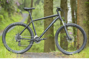 Carrera Vengeance , 2025