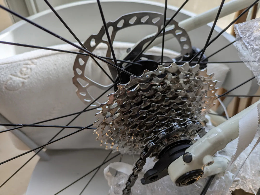 Trek Domane AL 4 Gen 4 2024