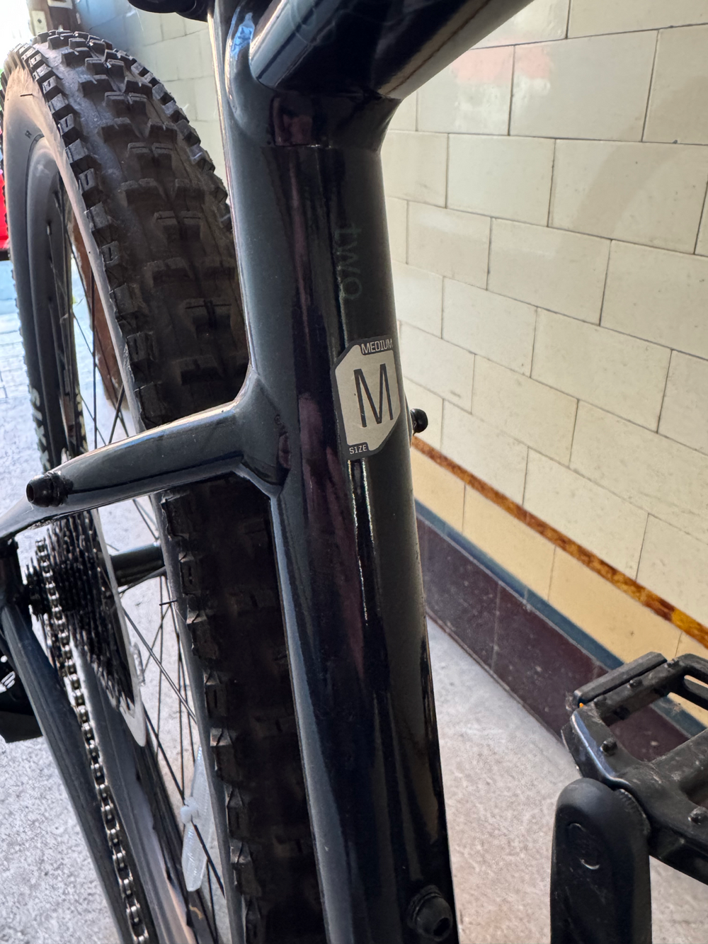 Cannondale Trail SE 2 2021