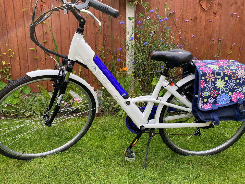 Basis Dorchester 2022