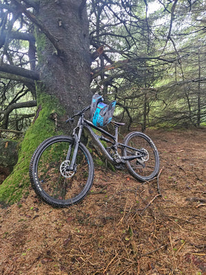 Cannondale Habit 4 29 2023