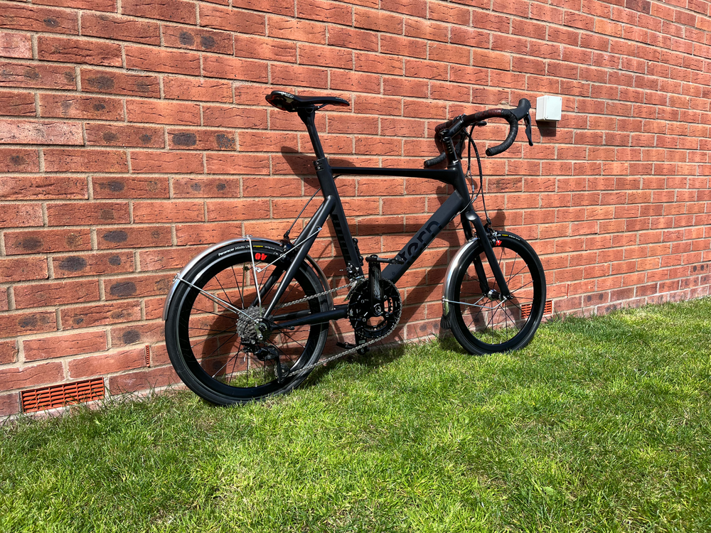Tern Surge 2019