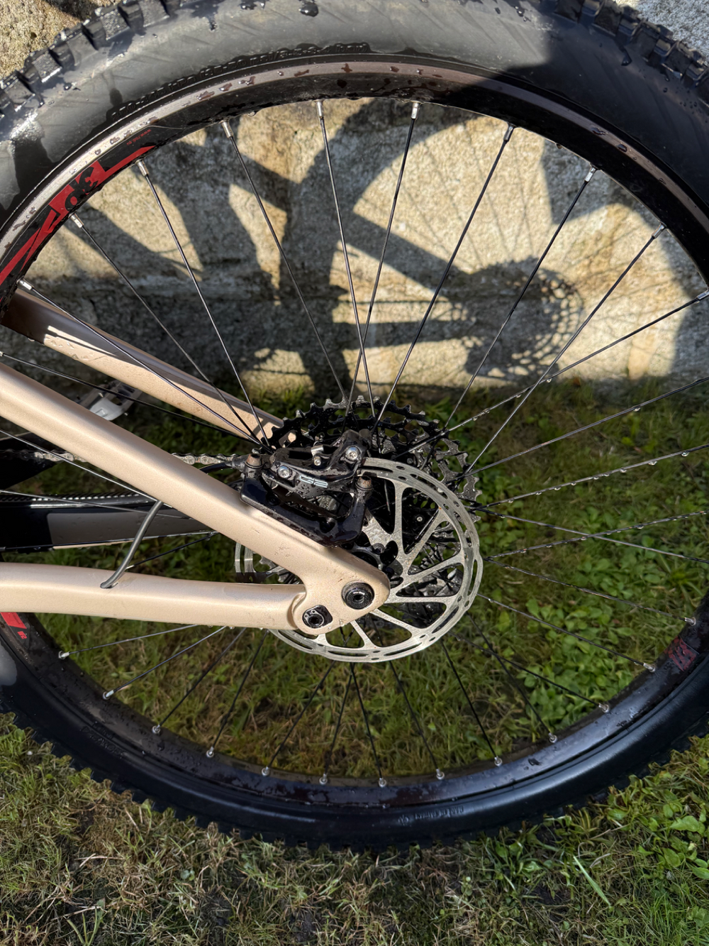 Lapierre Zesty AM CF 7.9 2023