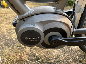 Raleigh Captus Mid-Step 2025