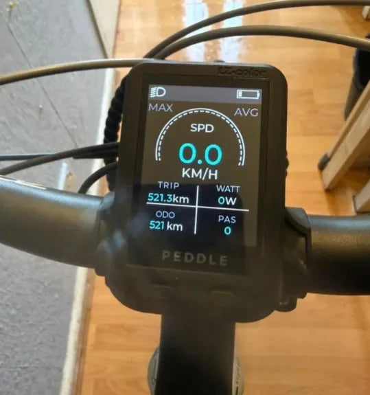 Peddle city City bike 2025