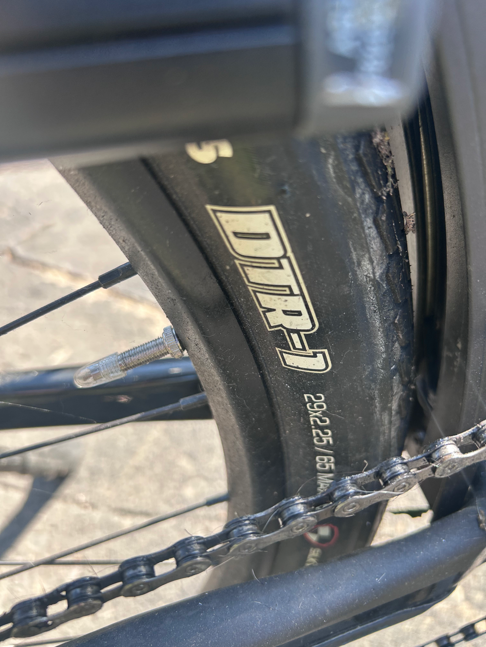 Cannondale Canvas Neo 2 2024