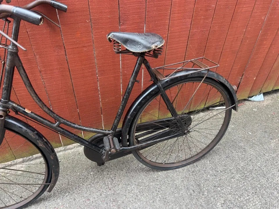Raleigh Special 2017