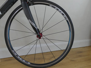 Raleigh militis 2013