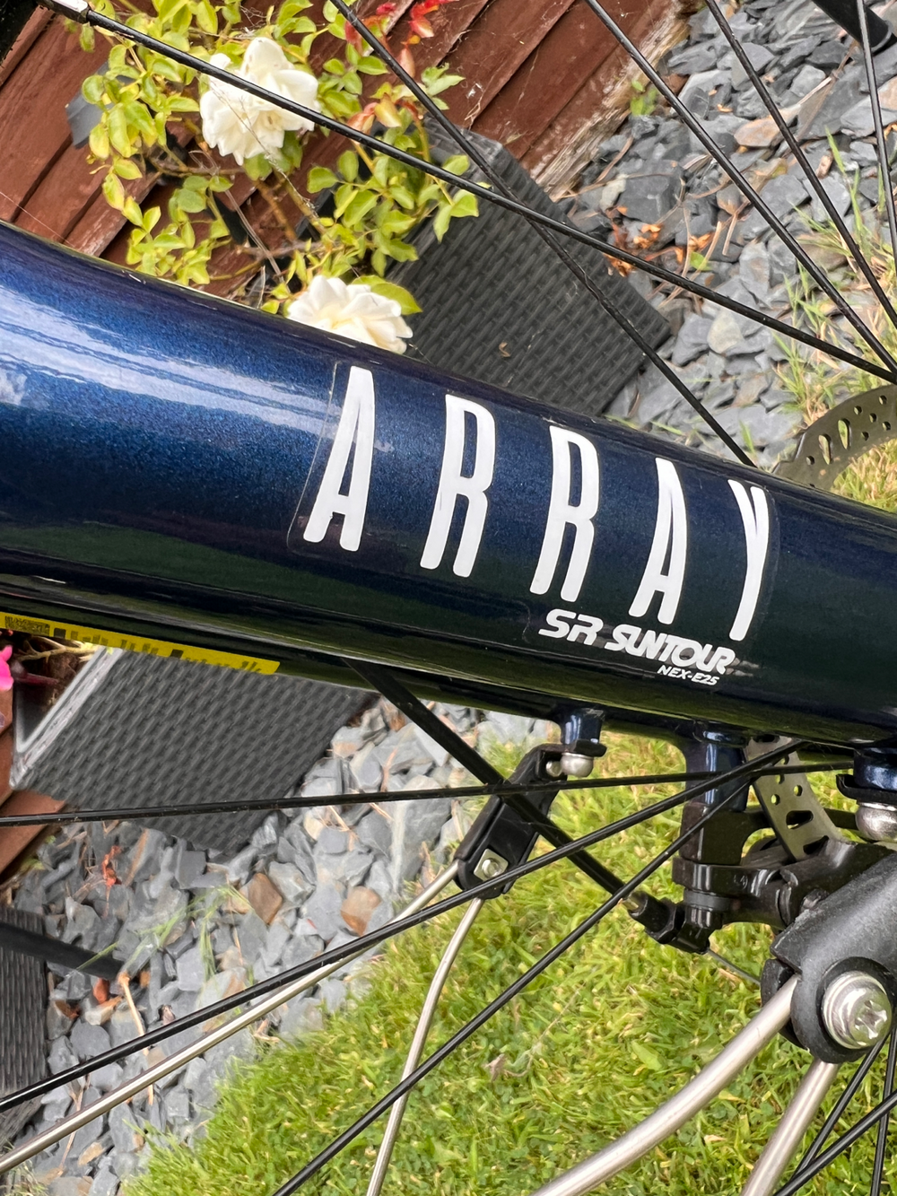 Raleigh Array 2023