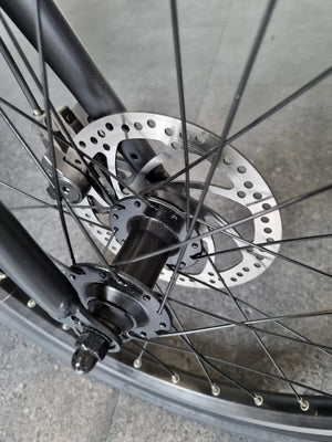 Fiido D4s 2024