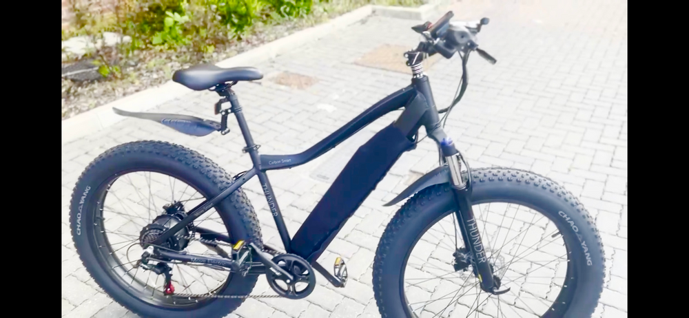 Pedal & Chain E Movement Thunder v4 2023 – Electric Fat Bike