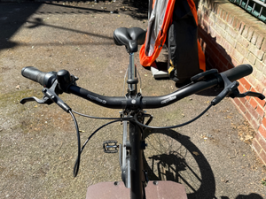 Bicicapace Pelican 2024