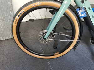 Vitus Al sn99 green l 2025