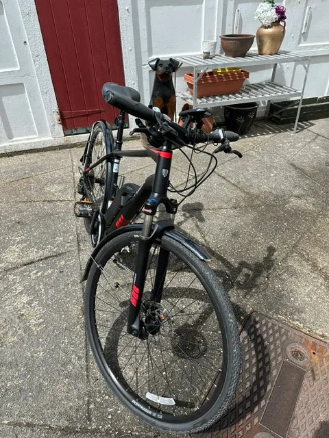 Trek Dual Sport+ 2019