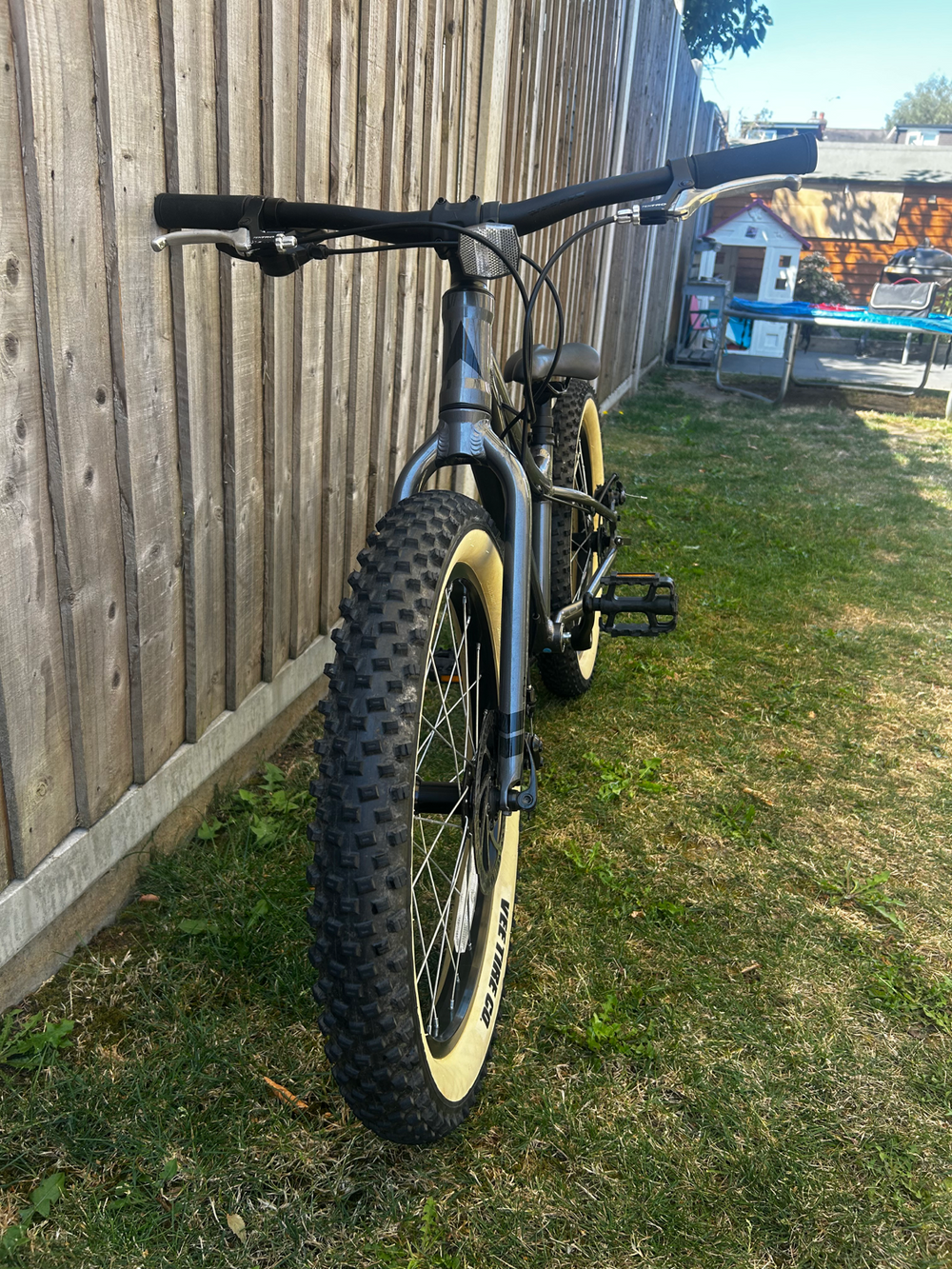 Vitus 20 Plus 2019