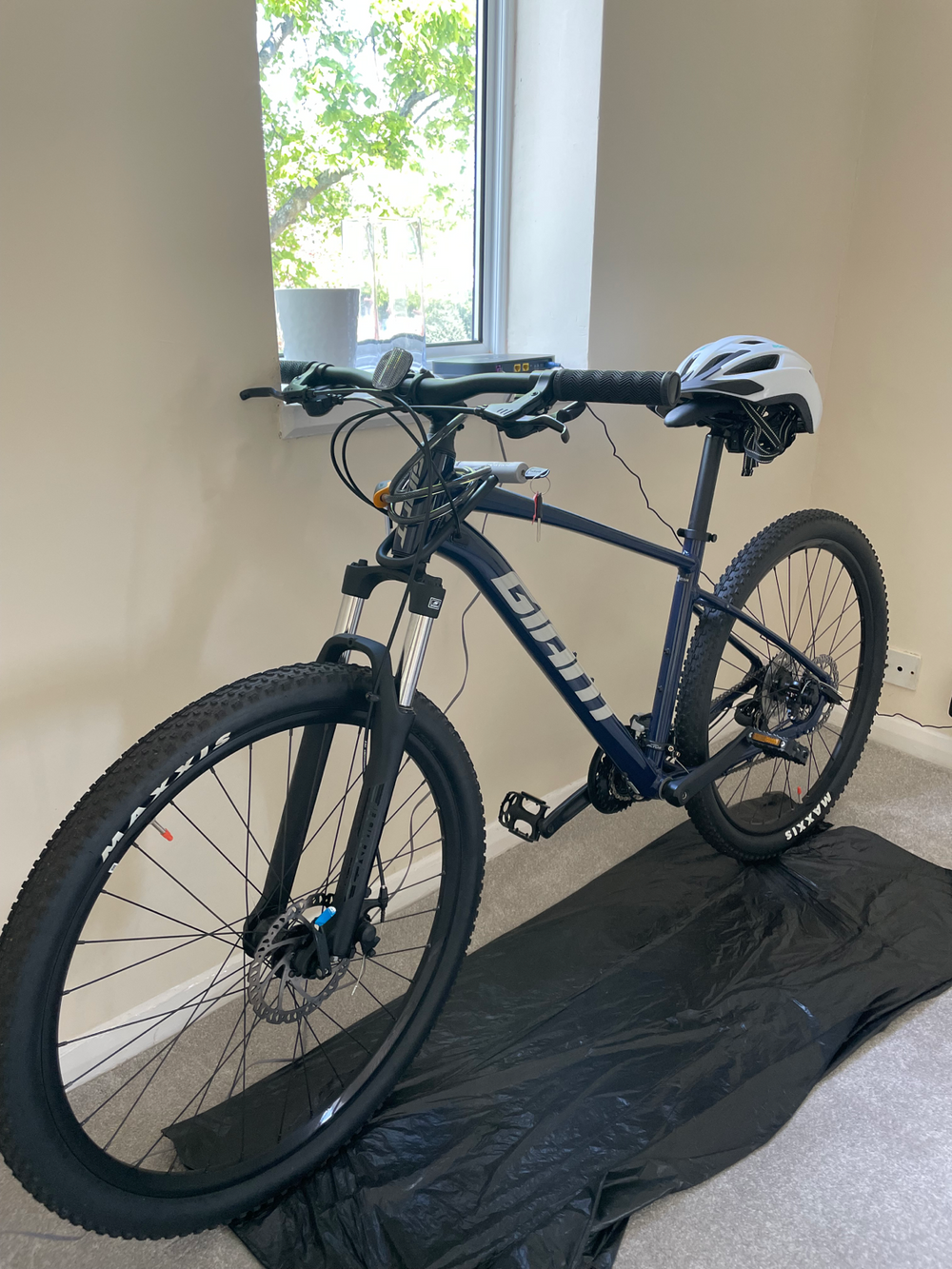 Giant Talon 2021 - Main Image