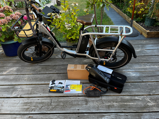 Rad Power RadRunner Plus 2021