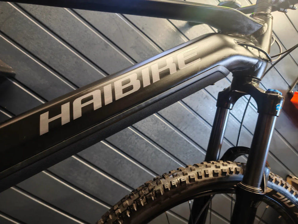 Haibike Allmtn 3 (Alloy) 2023