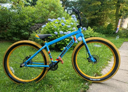 Flyer by Radio Flyer SE maniacc flyer 27.5 2021