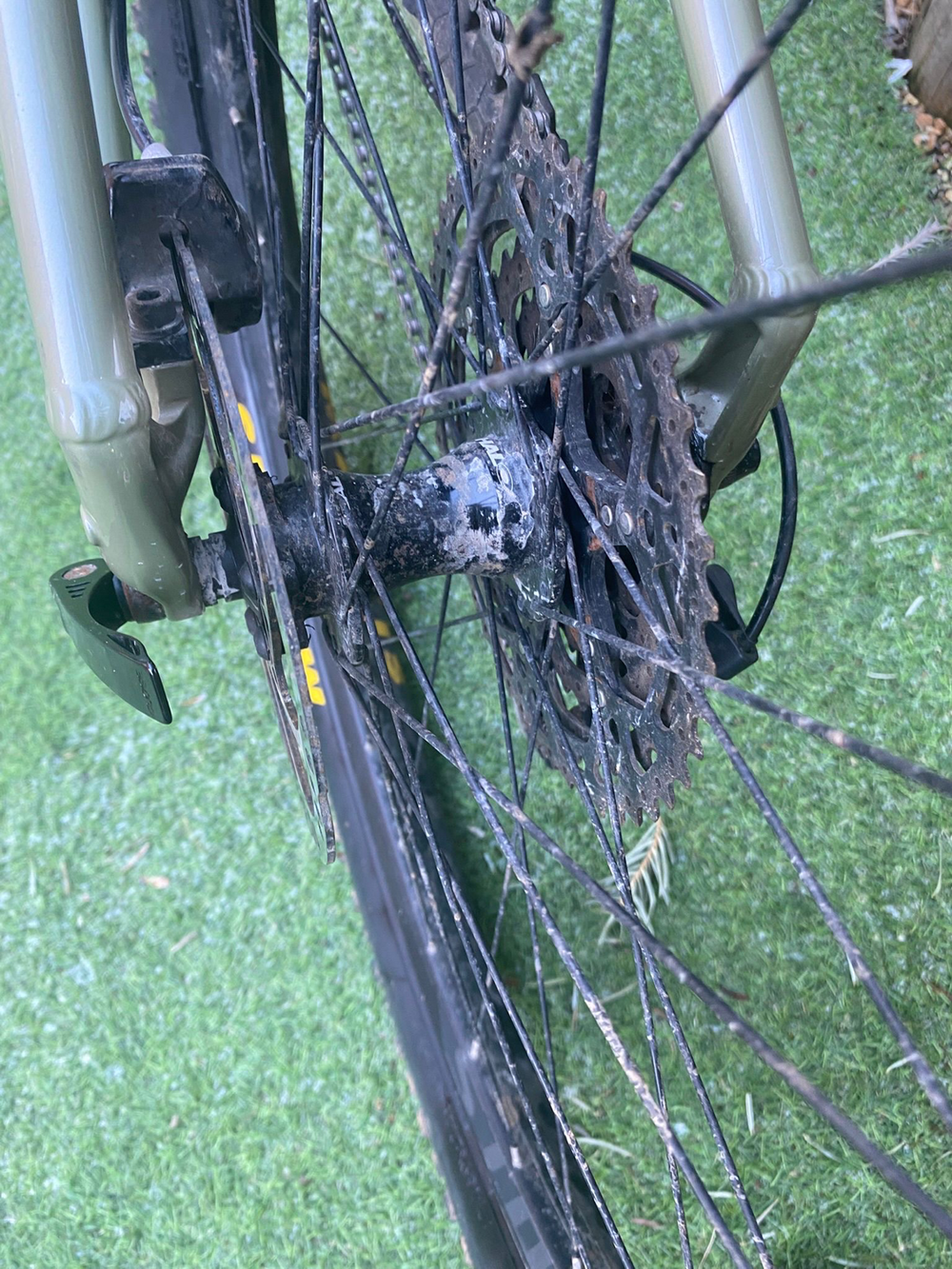 Specialized Rockhopper comp 2025