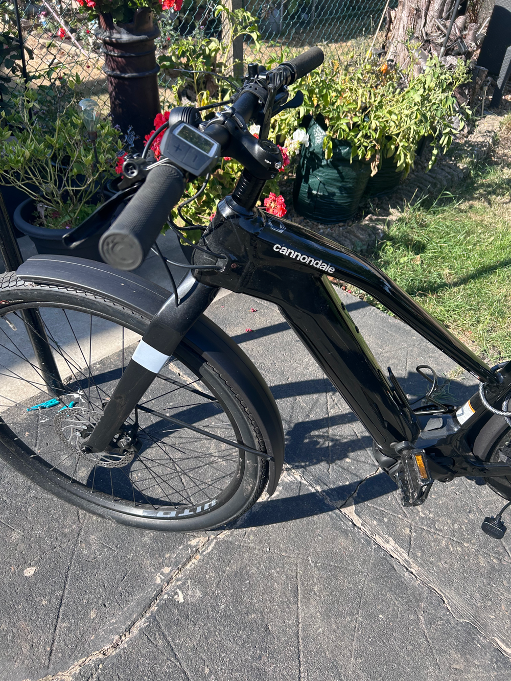 Cannondale Canvas Neo 2 2024