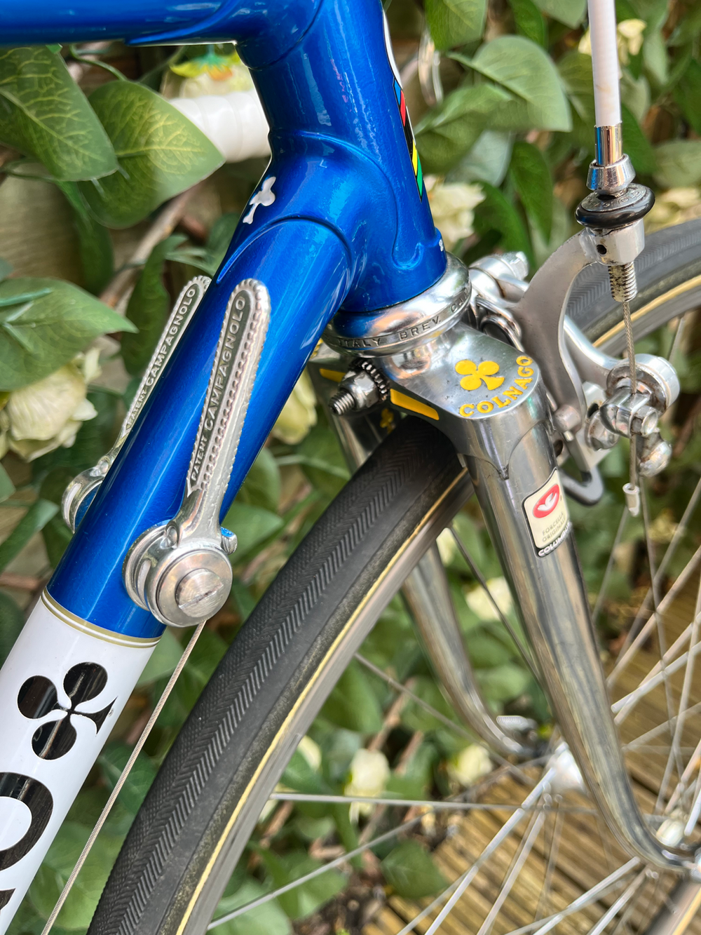 Colnago Super profil 1981