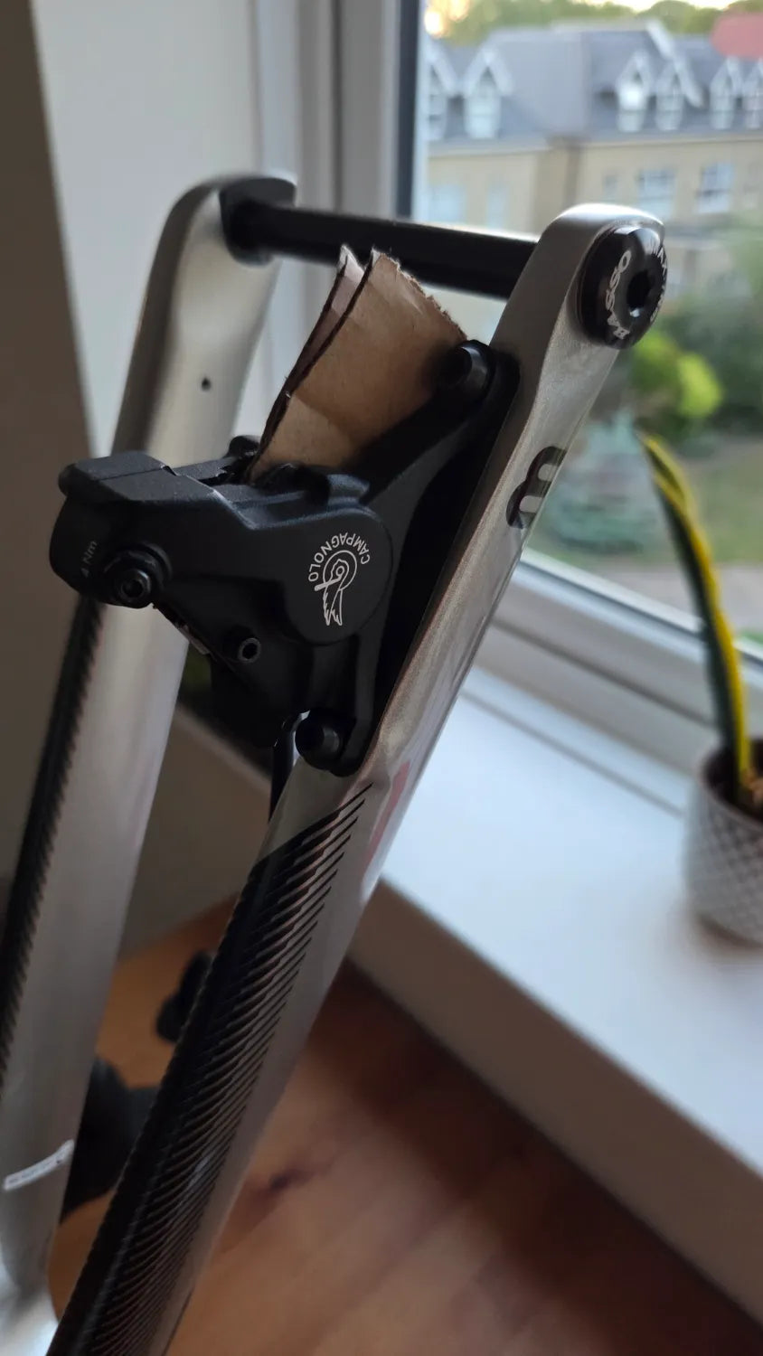 Basso Astra Campagnolo Chorus 12s Disc 2022