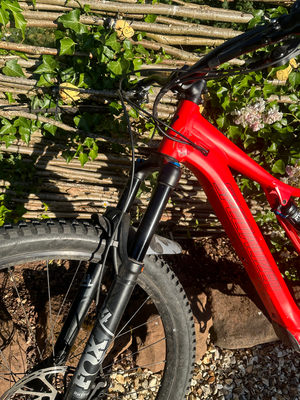Specialized Turbo Levo SL Kids 2021