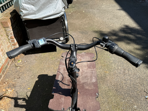 Bicicapace Pelican 2024