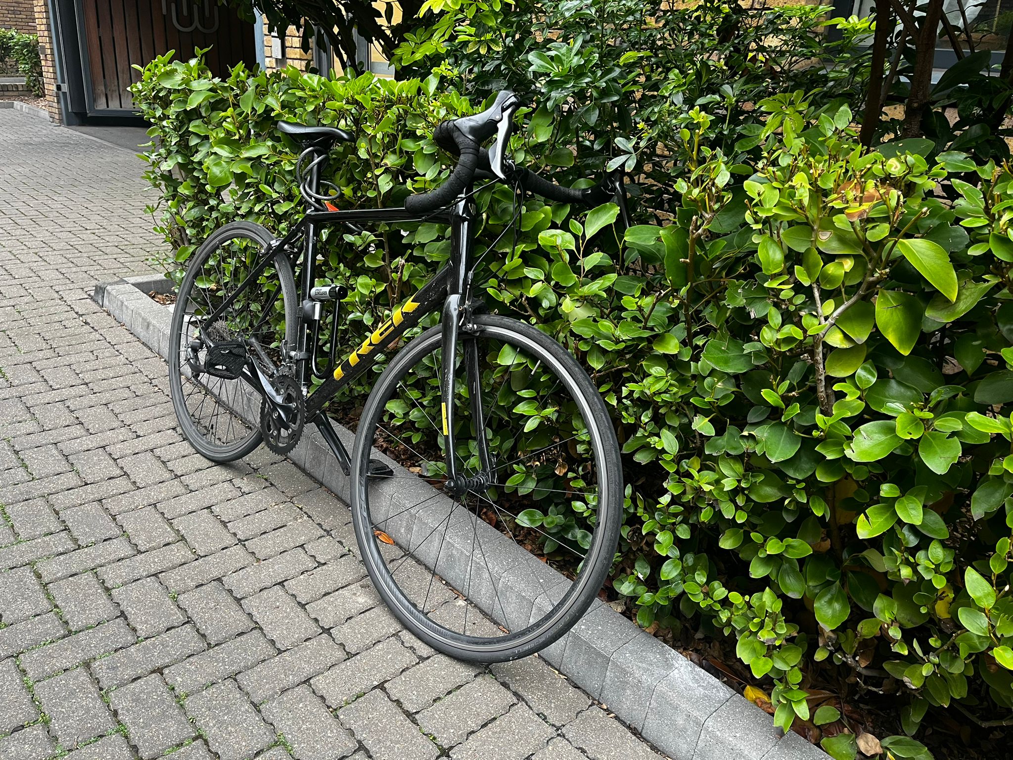 Trek Domane AL 2 2022