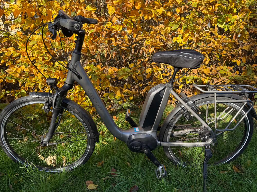 Kalkhoff Agattu 3.B 2020