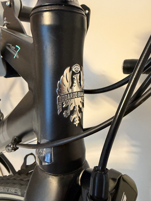 Bianchi Via Nirone 7 Sora endurance 2017