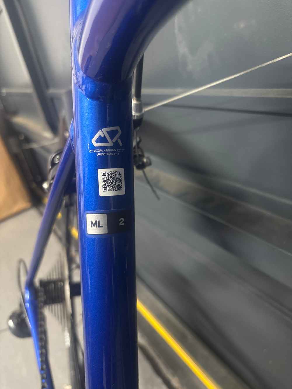 Giant Contend 2 2020