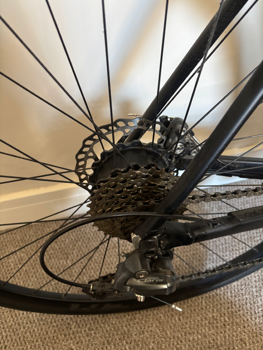Orbea Gain D50 Claris Disc E 2021