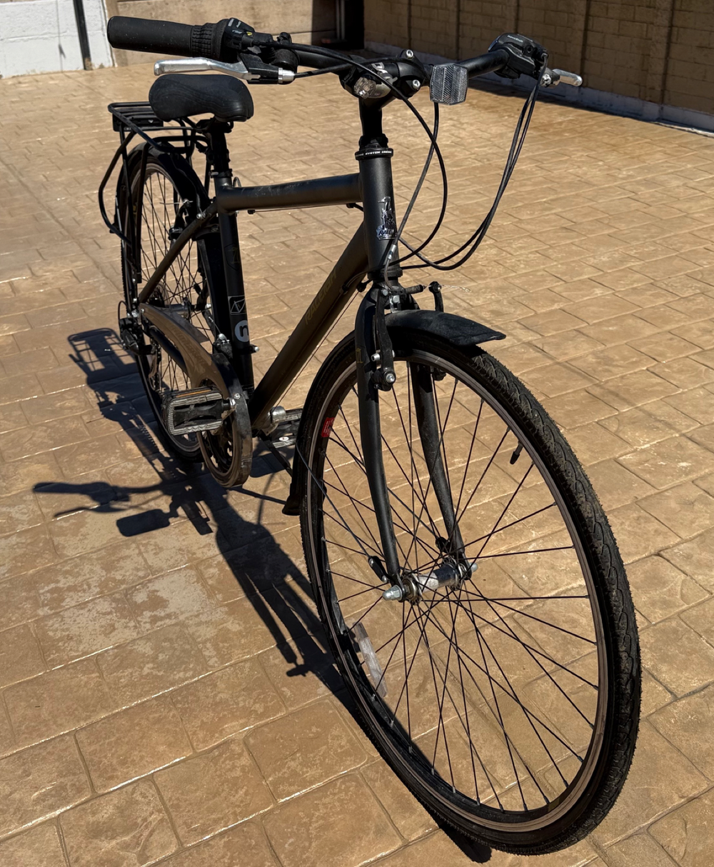 Raleigh Pioneer 2014