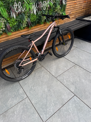 Scott Contessa 50 2024