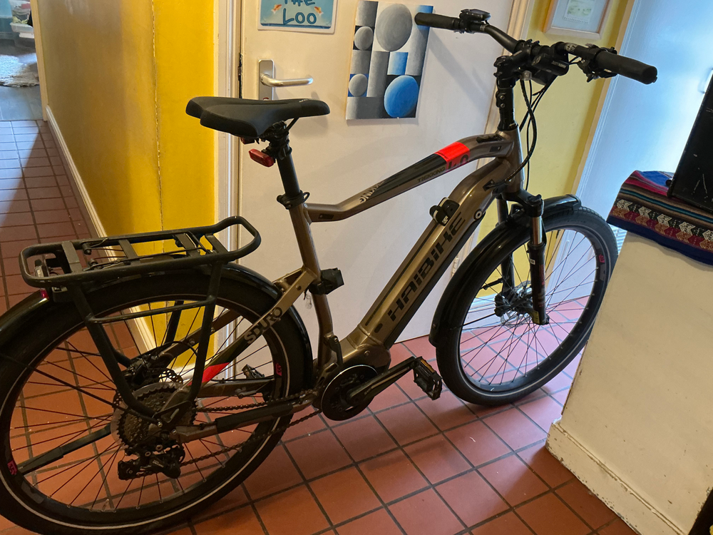 Haibike SDURO Trekking 4.0 2020