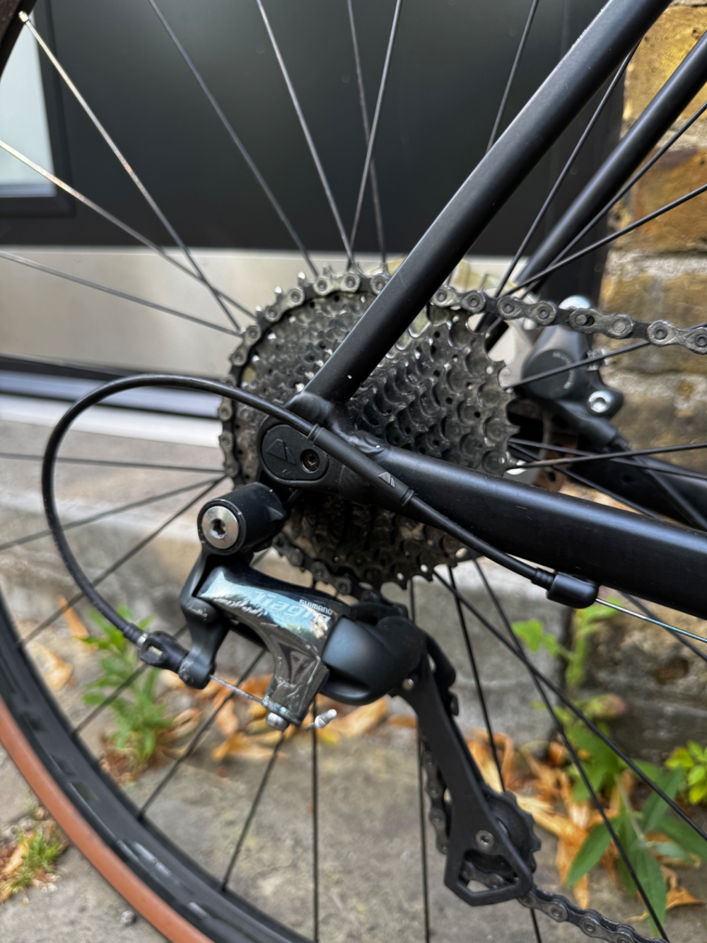 Canyon Endurace 7 Disc 2022