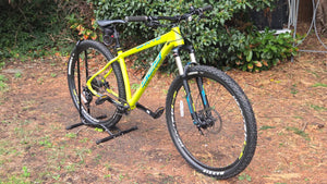 Whyte 529 Trail