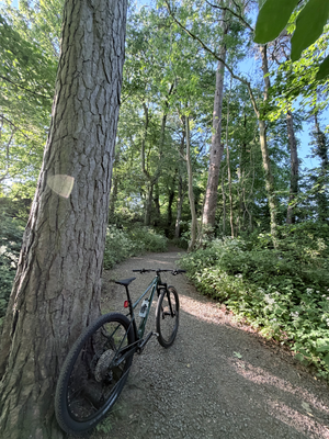Scott Scale 935 29er 2017
