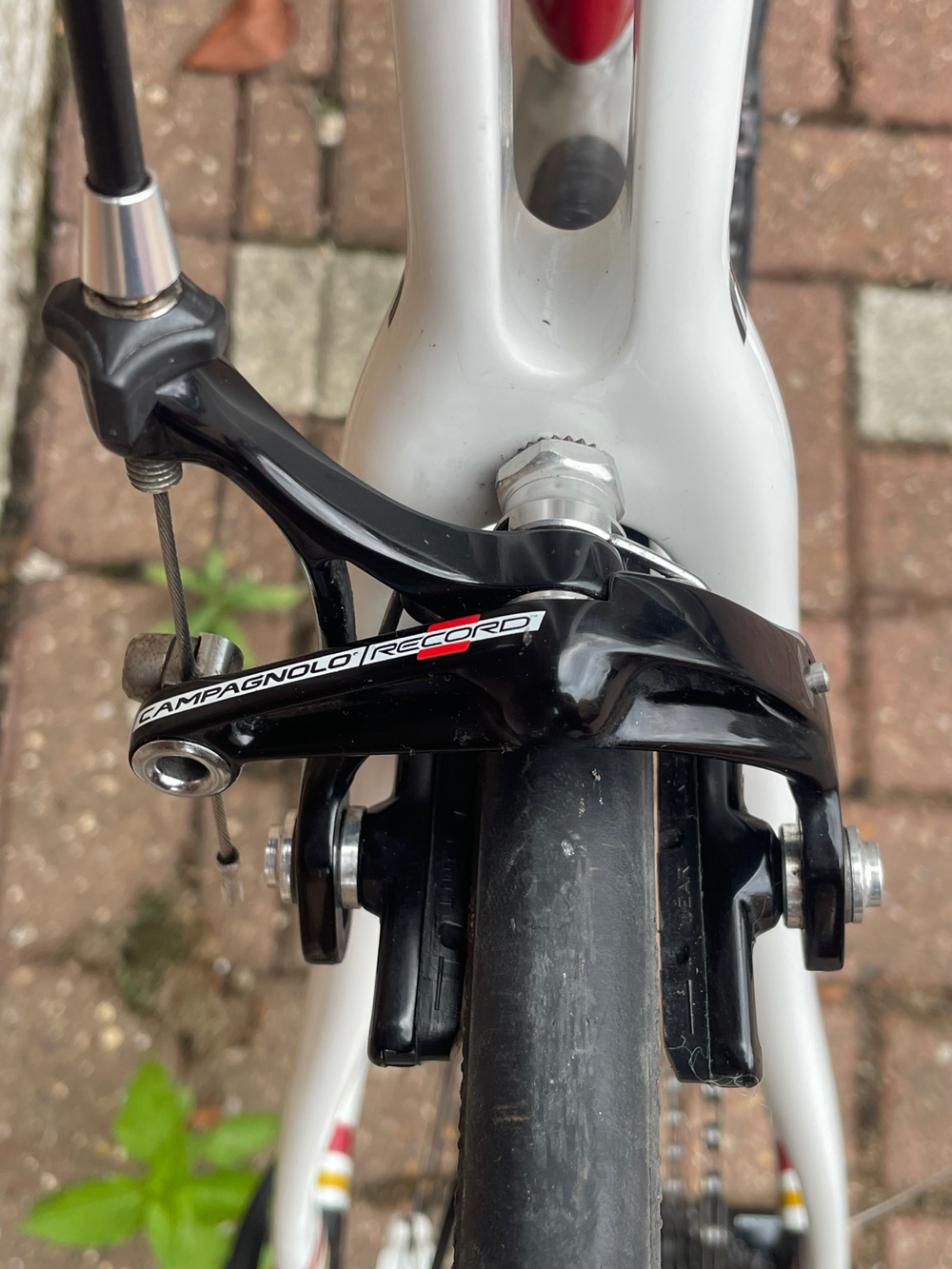 Condor Leggero 2013
