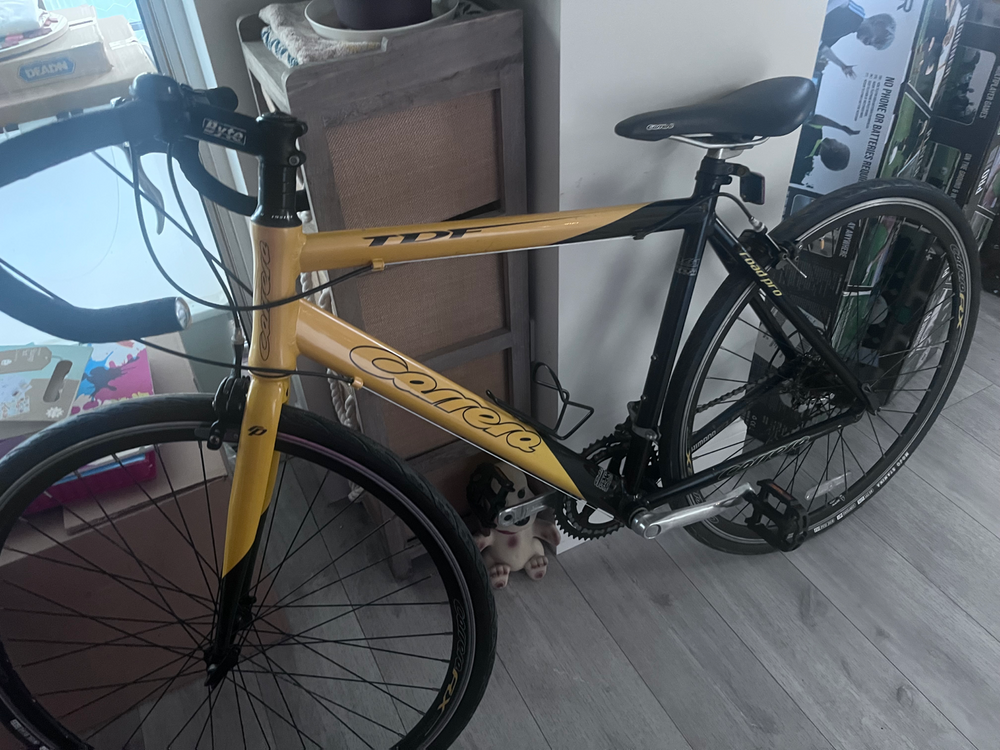 Carrera Tdf 2019