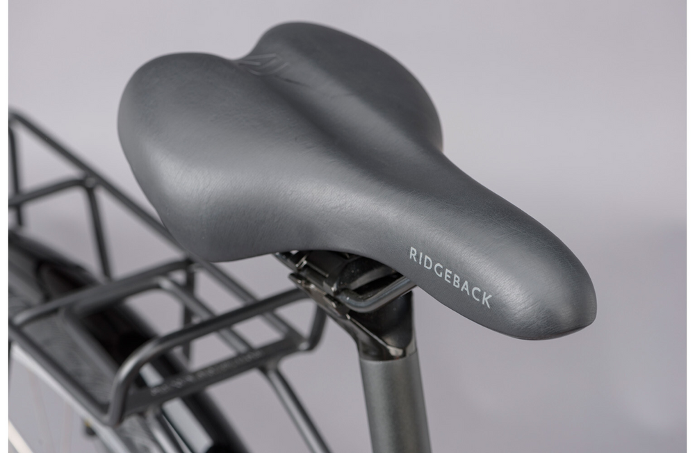 Ridgeback Speed 2026