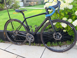 Focus Donna Ultegra 2018