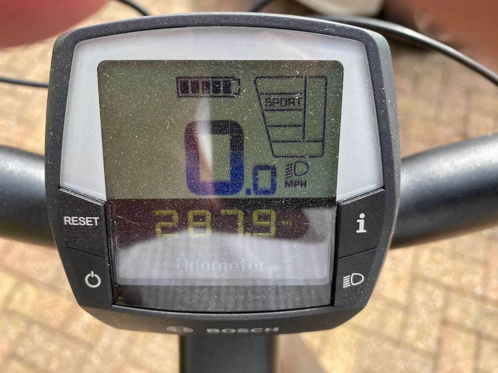 Raleigh Motus Tour LS 500 2023