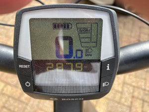 Raleigh Motus Tour LS 500 2023