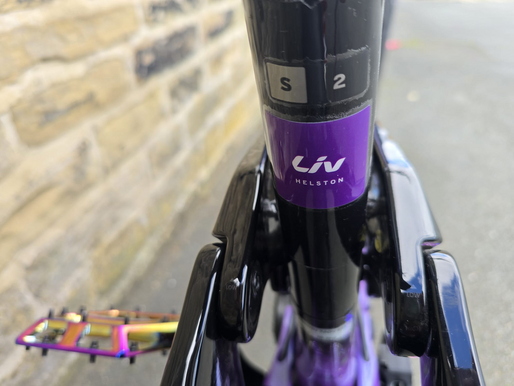 Liv Intrigue X Advanced E+ EL 2 Digital Blurple 2024