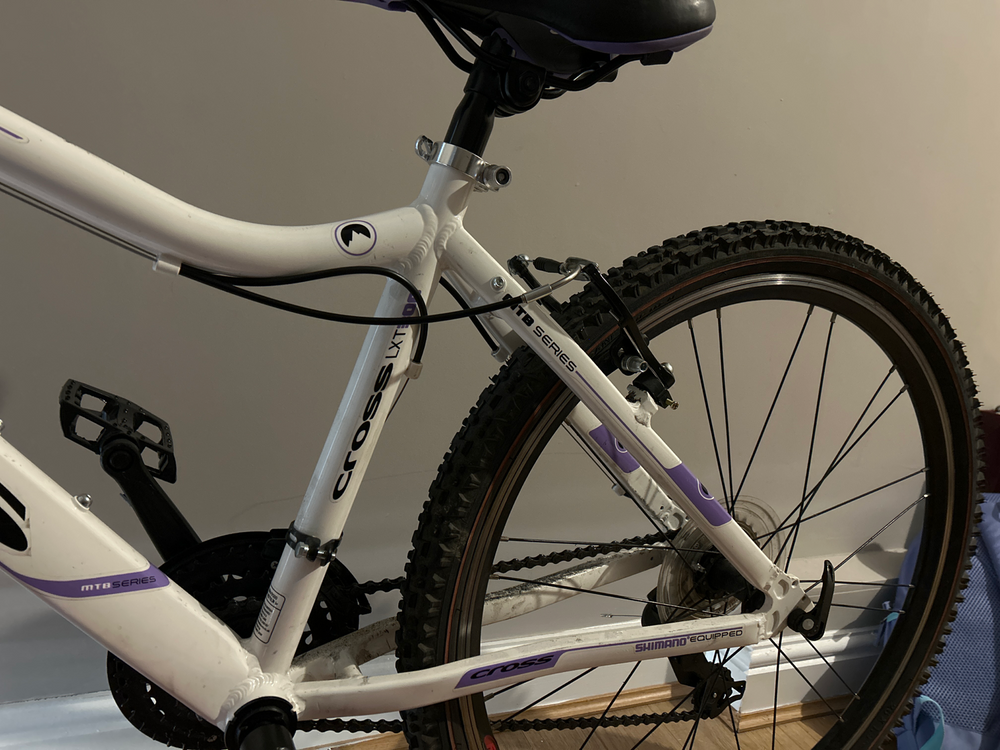 Cross  LXT300 2020