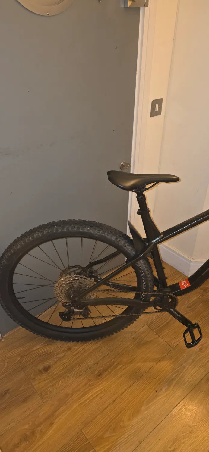 Trek Roscoe 7 2025