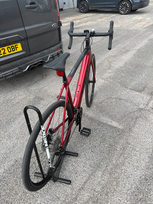 Trek Domane+ 2019